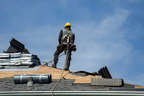 Professional Roofing technician working in Trappe, MD